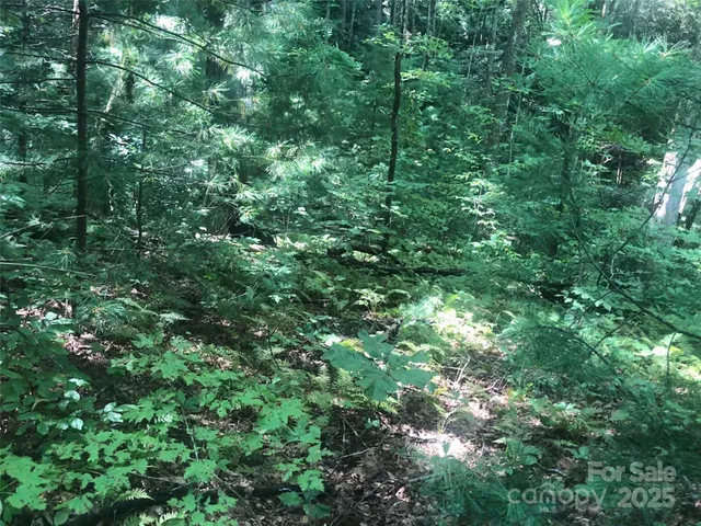 $49,900 | Tbd Tbd Peppervine Circle, Unit 94, Rosman, NC 28772