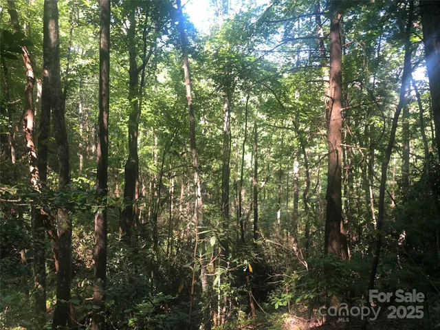 $49,900 | Tbd Tbd Peppervine Circle, Unit 94, Rosman, NC 28772