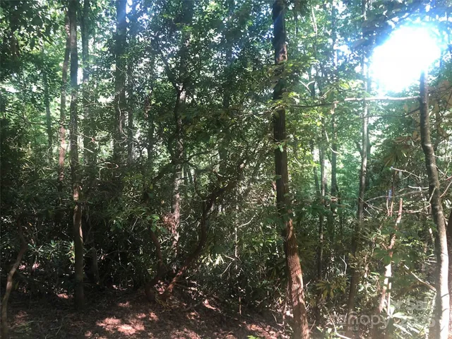 $49,900 | Tbd Tbd Peppervine Circle, Unit 94, Rosman, NC 28772