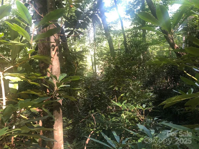 $49,900 | Tbd Tbd Peppervine Circle, Unit 94, Rosman, NC 28772