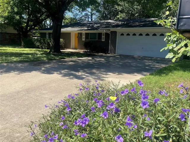 a front view of a house with a big yard and a large tree