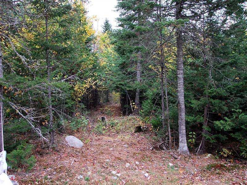 Lot 45 Mill Road Springfield, ME 04487 - Photo 21 of 26 Other.