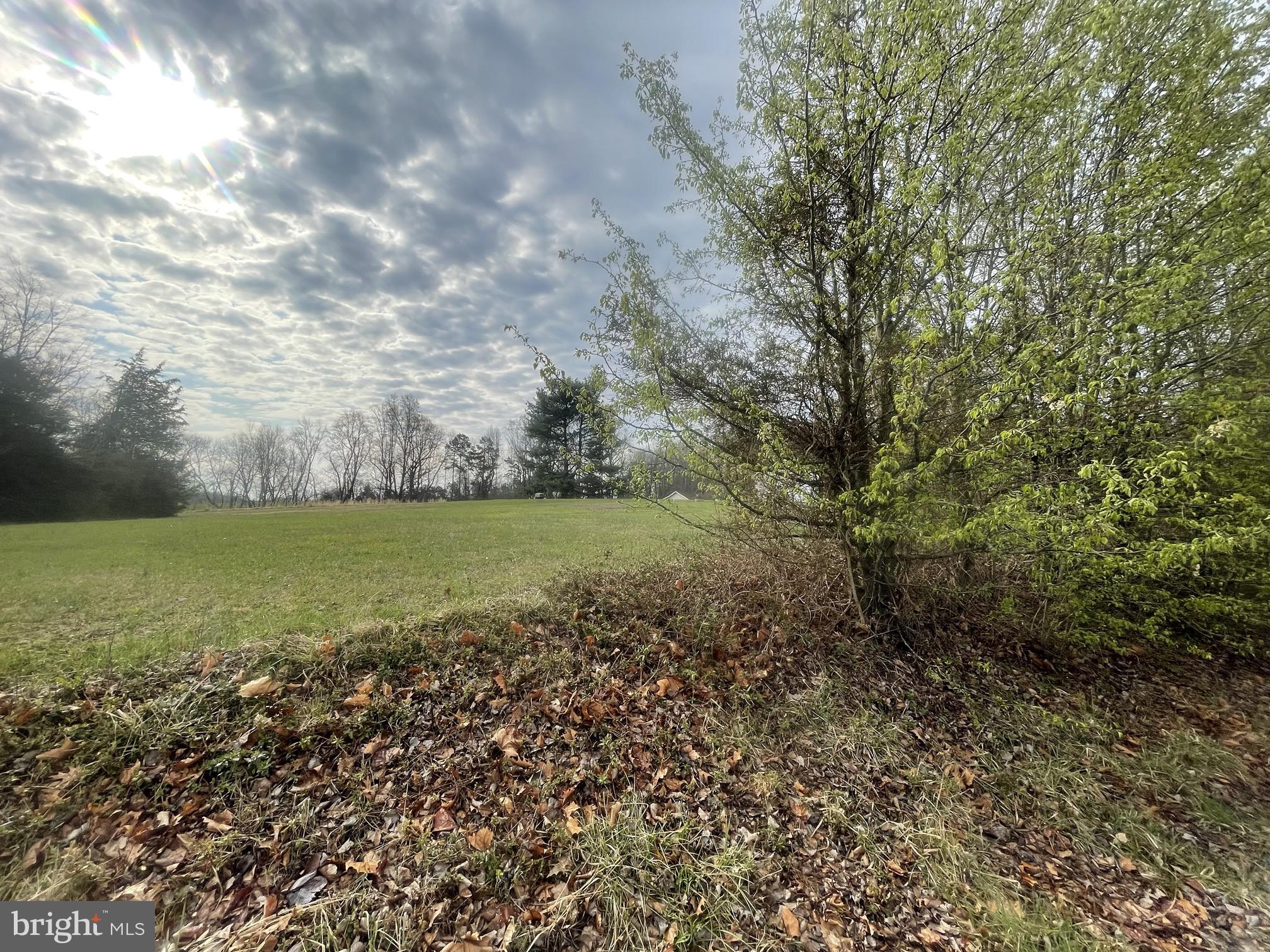 Lot 77 Troy Road Louisa, VA 23093 - Photo 10 of 11 Gallery Image 10