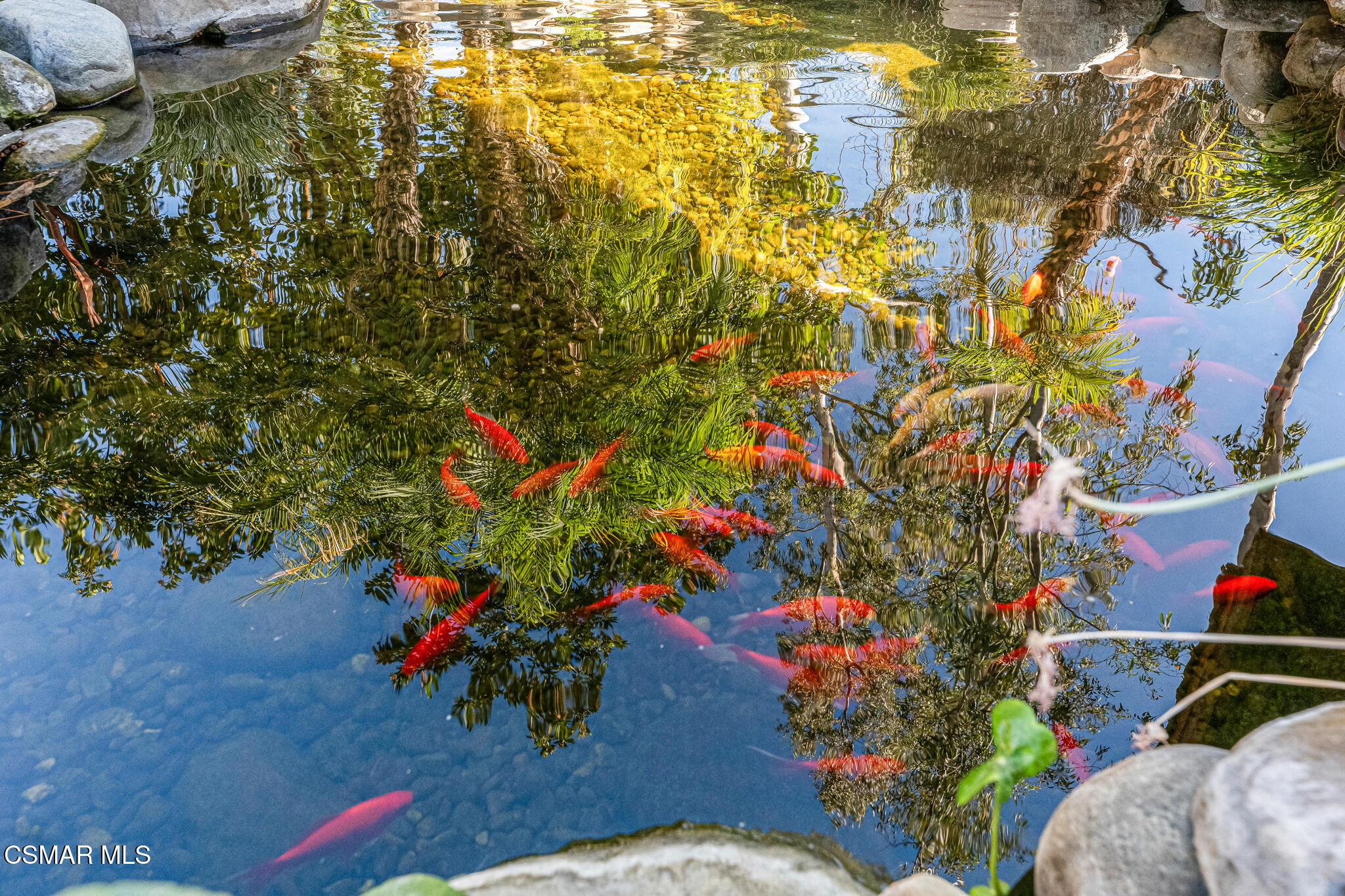 1239 Mellow Lane Simi Valley, CA 93065 - Photo 60 of 97 1239 Mellow Ln - HsHProd-66