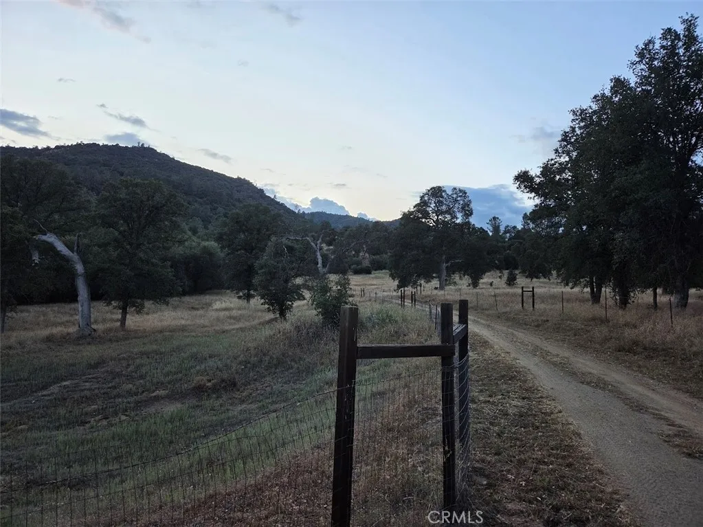 33555 Merrill Ranch Knights Landing, CA 95645 - Photo 22 of 49