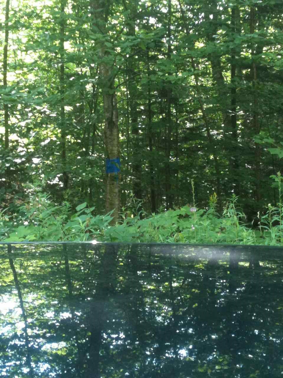 0 Clement Road Barre, VT 05641 - Photo 5 of 5