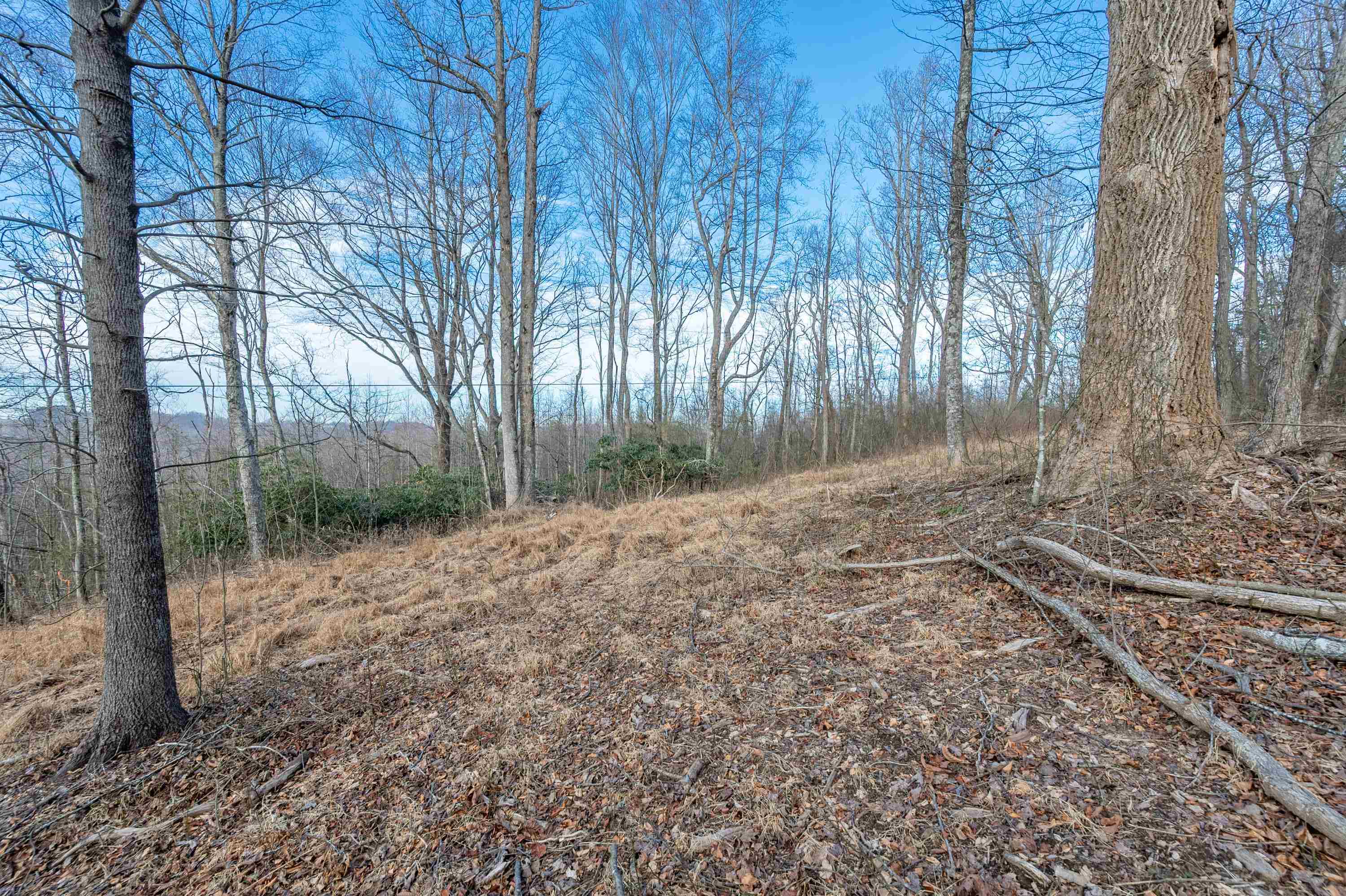 608 Blue Ridge Pkwy Road Fancy Gap, VA 24328 - Photo 18 of 49 Gallery Image 18