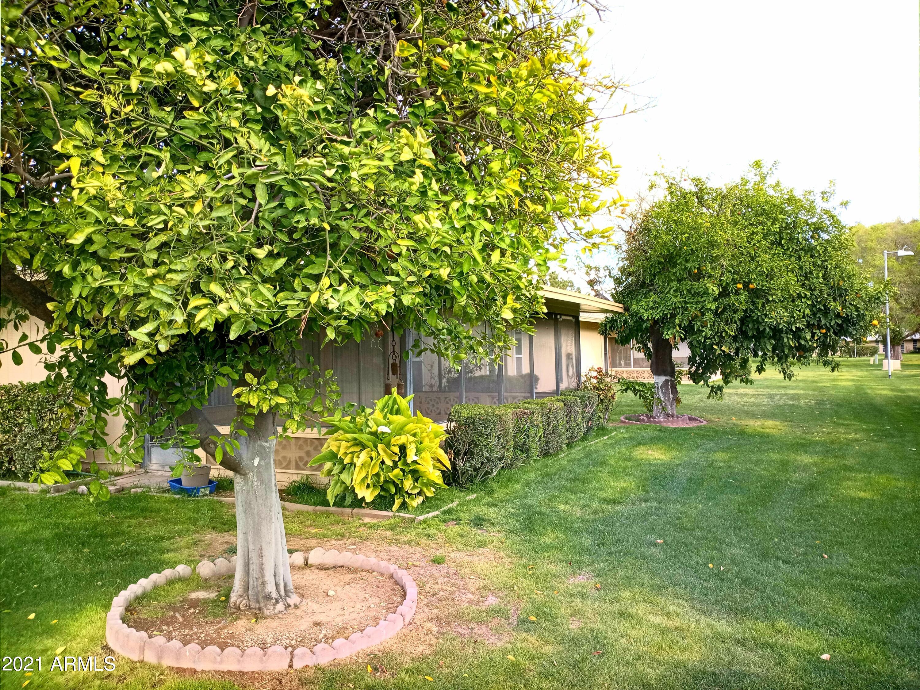 9705 West Oak Ridge Drive Sun City, AZ 85351 - Photo 35 of 35 Back Yard