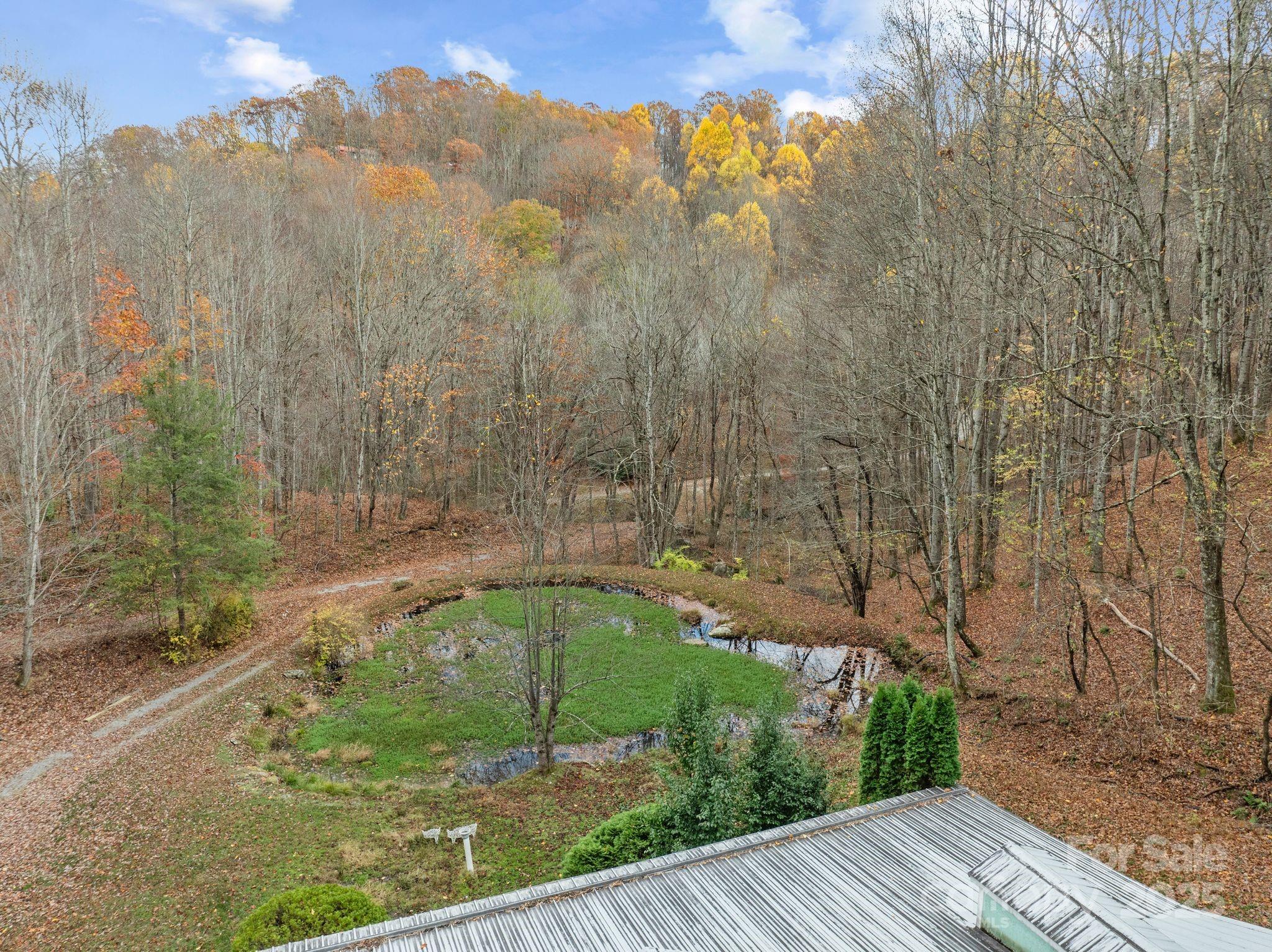 61 Doe Loop Hot Springs, NC 28743 - Photo 26 of 37 a view of a yard with large trees