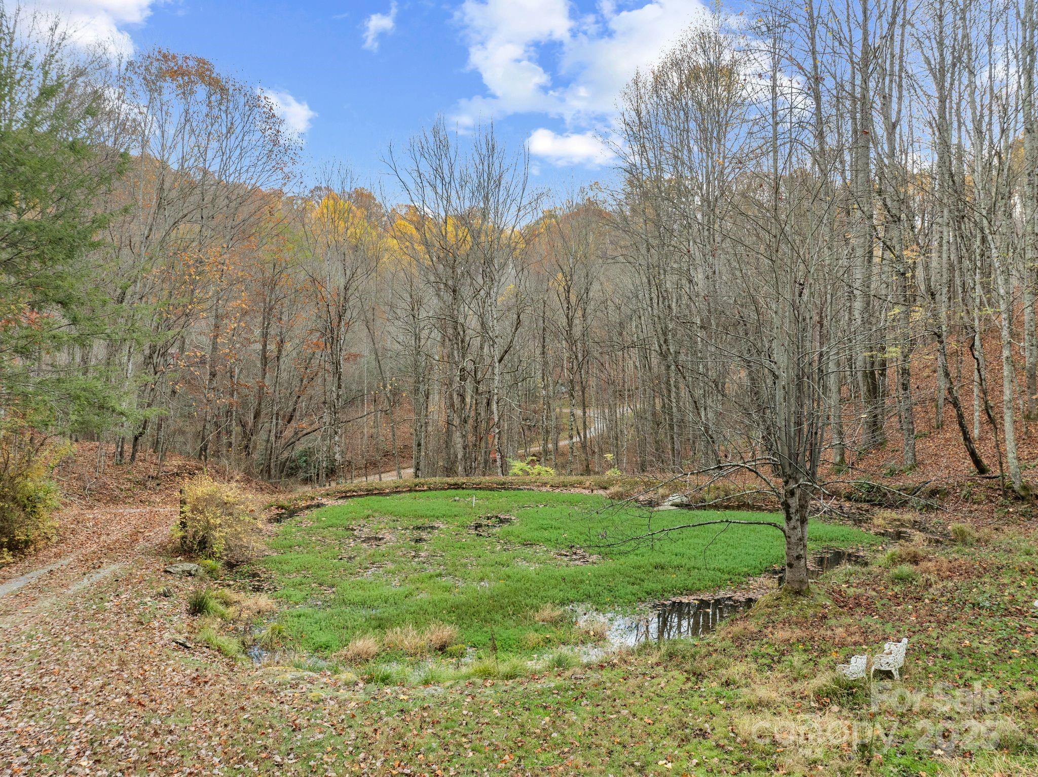 61 Doe Loop Hot Springs, NC 28743 - Photo 28 of 37 a backyard of a house with lots of green space