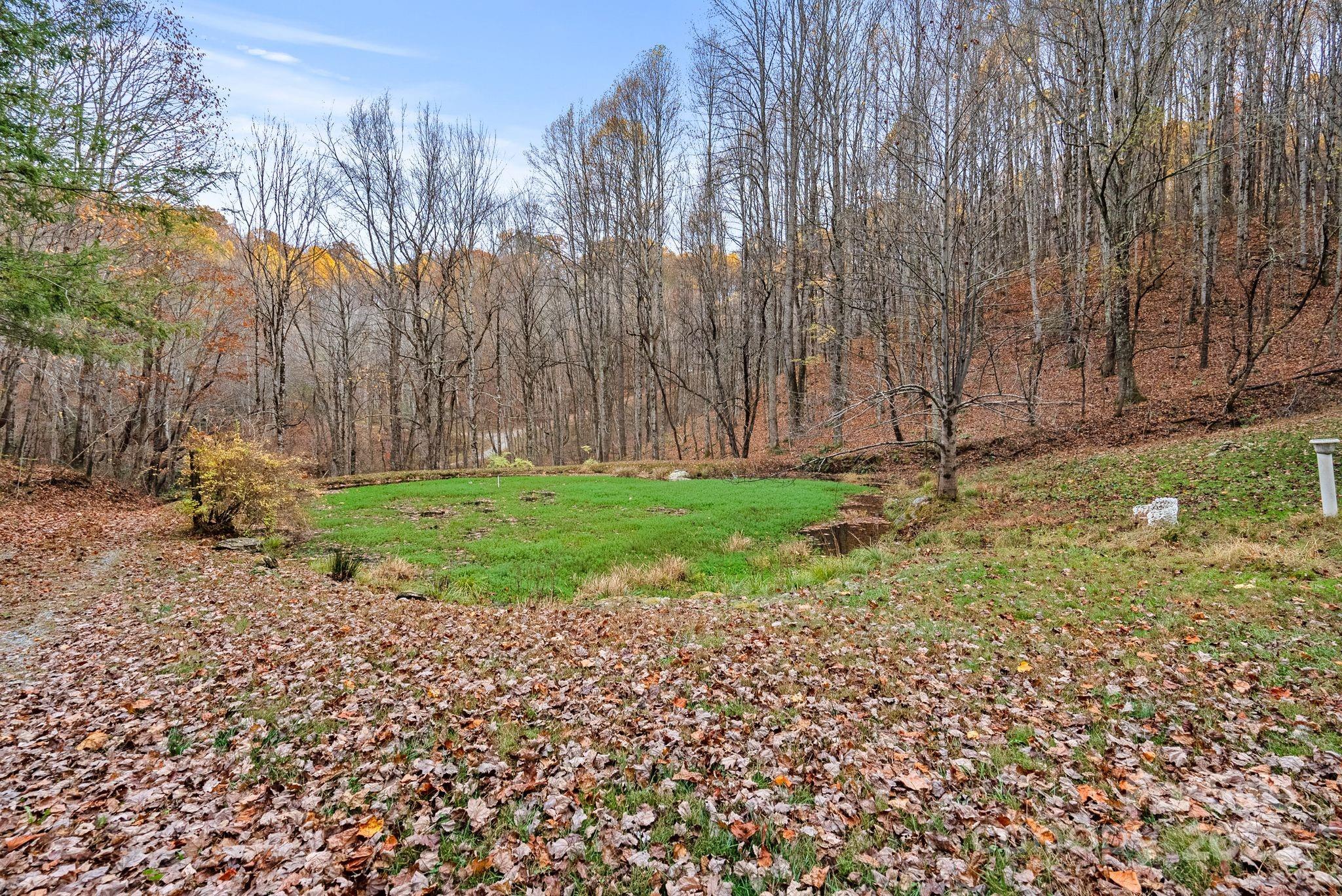 61 Doe Loop Hot Springs, NC 28743 - Photo 29 of 37 a backyard of a house with lots of green space