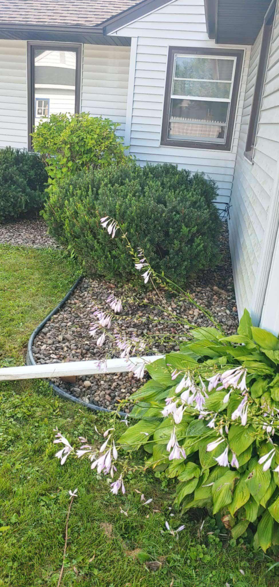 453 Spring Creek Road South Red Wing, MN 55066 - Photo 62 of 65