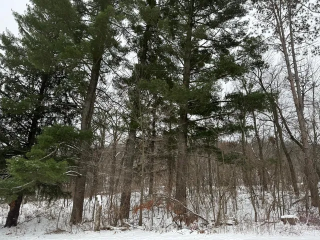 $294,900 | 453 Spring Creek Road South, Red Wing, MN 55066