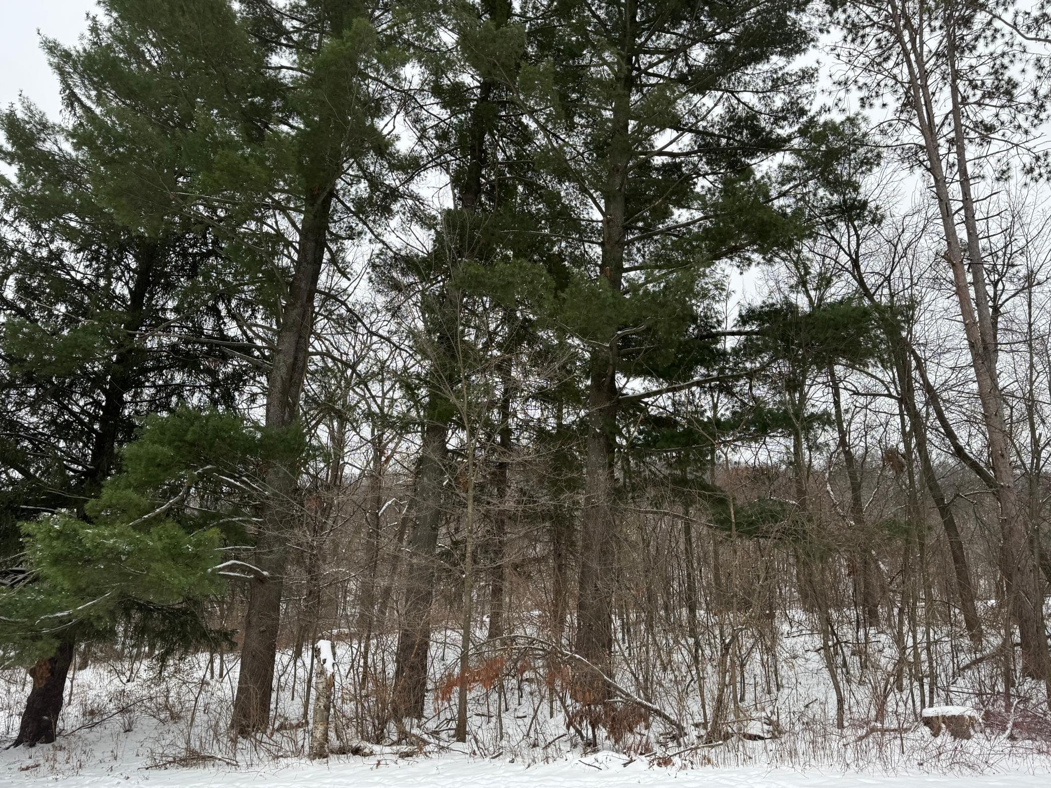 453 Spring Creek Road South Red Wing, MN 55066 - Photo 8 of 65