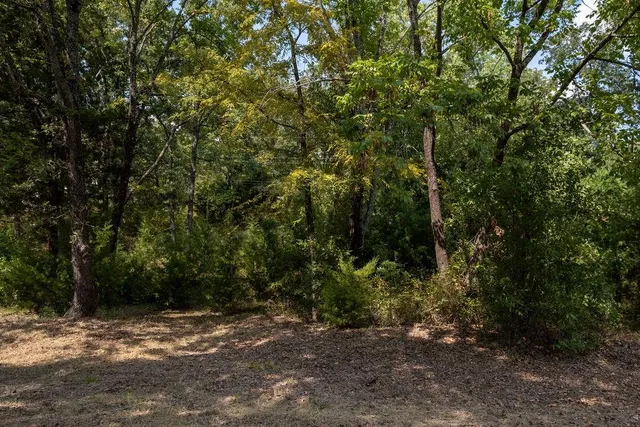 a view of a field with trees in the background