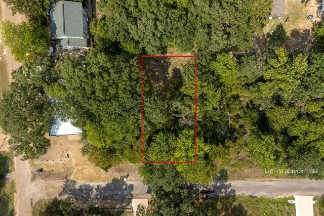 a view of a yard with plants and trees