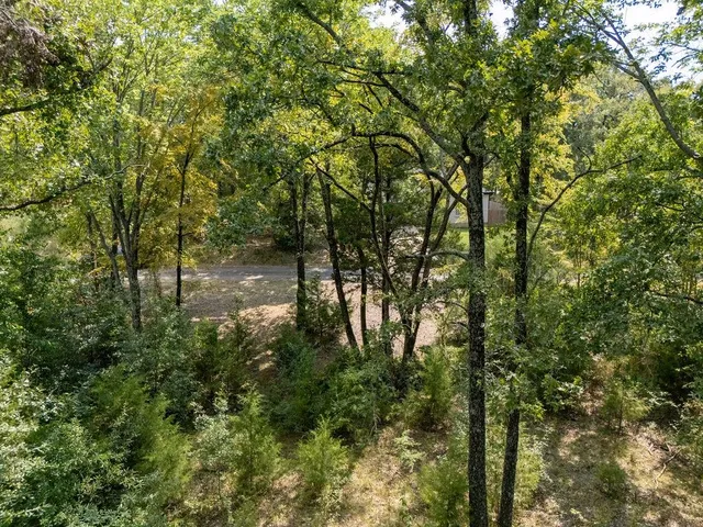 a backyard of a house with lots of trees