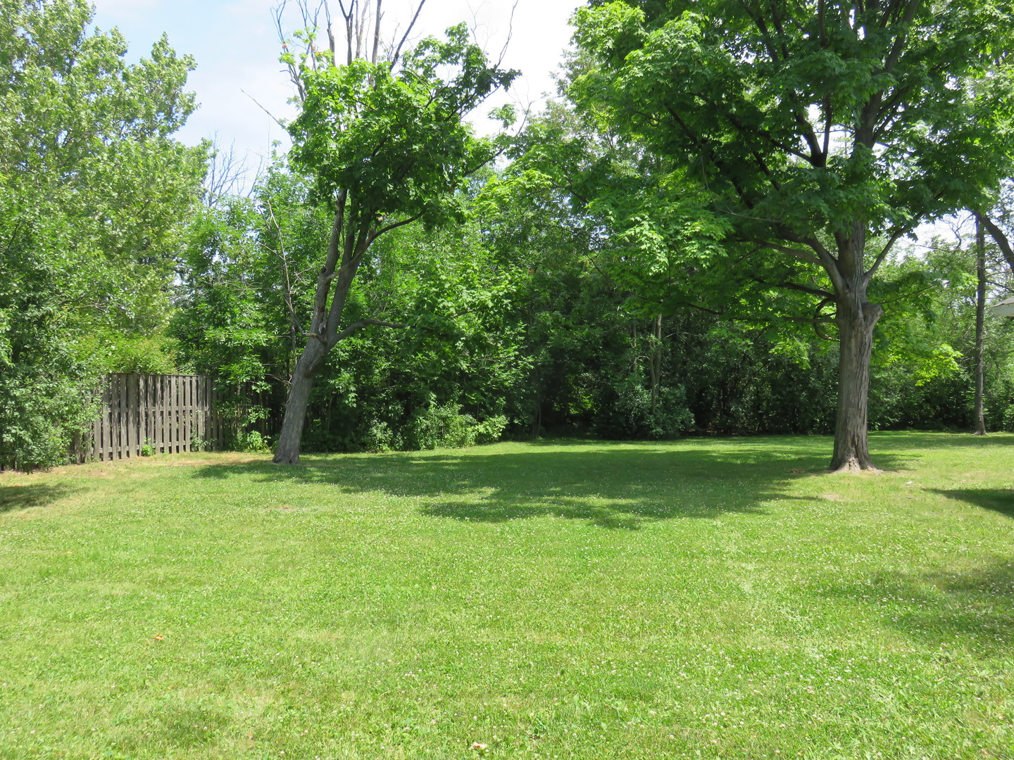 107 Ridge Road Highland Park, IL 60035 - Photo 20 of 20 a view of a big yard with a trees