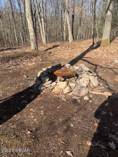 Boone Road, Unit 3 Cross Fork, PA 17729 - Photo 8 of 12 Gallery Image 8