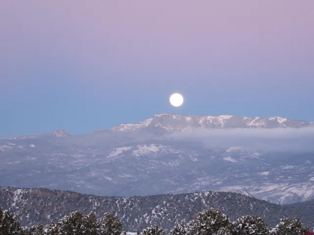 a view of a dry yard