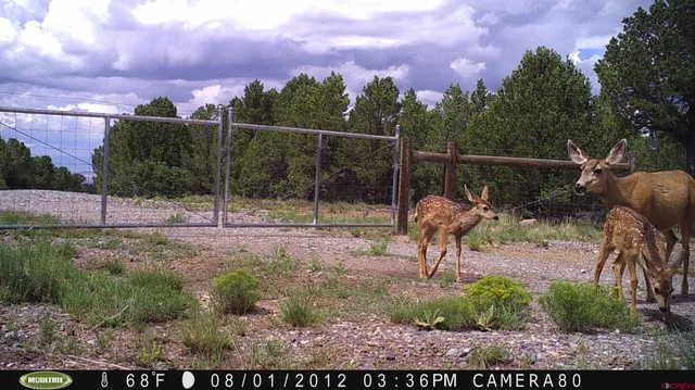 $660,000 | 230 Sunrose Lane, Montrose, CO 81403