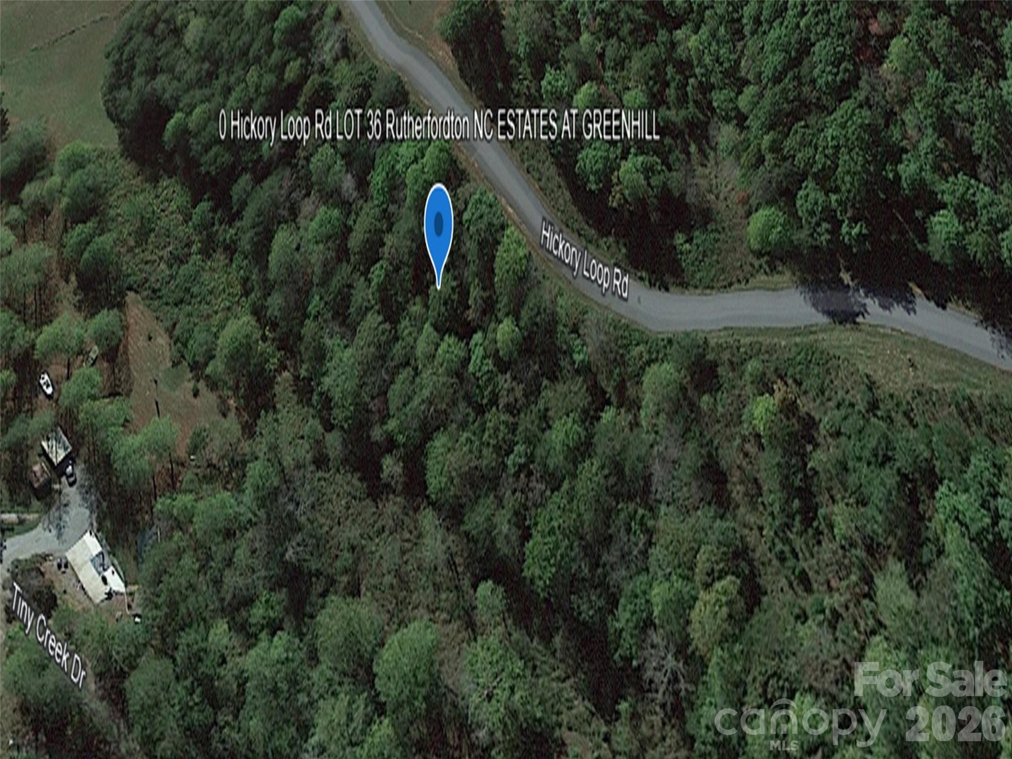 0 Hickory Loop Road, Unit LOT 36 Tryon, NC 28782 - Photo 8 of 8