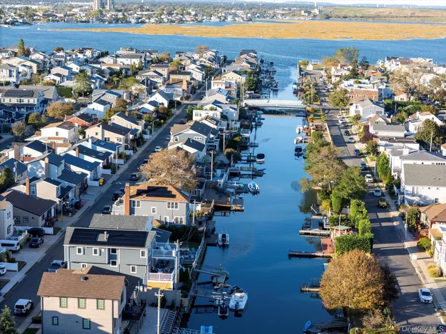a room with furniture and a potted plant