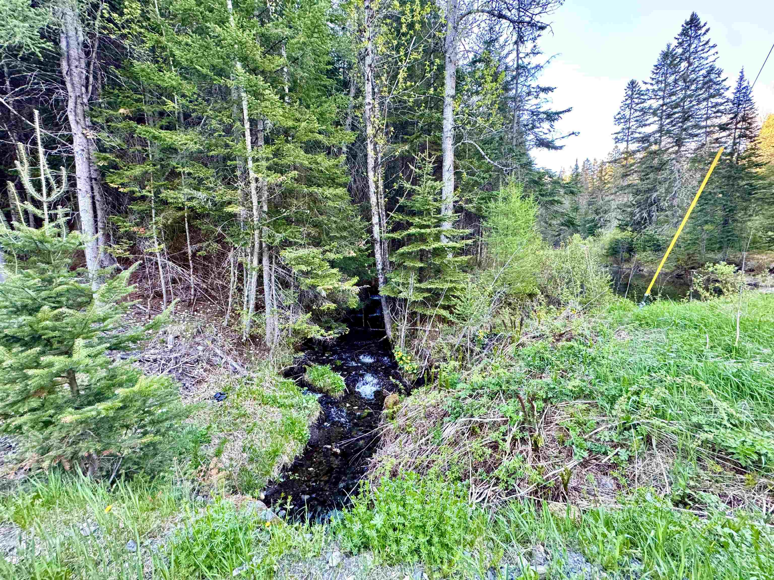 Lot 8 Gulch Brook Road Stewartstown, NH 03576 - Photo 20 of 22