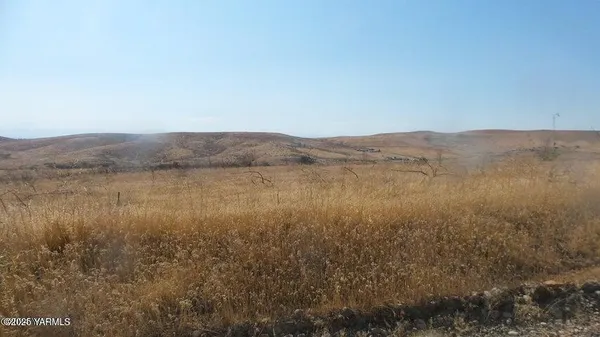 a view of a dry field with trees in background