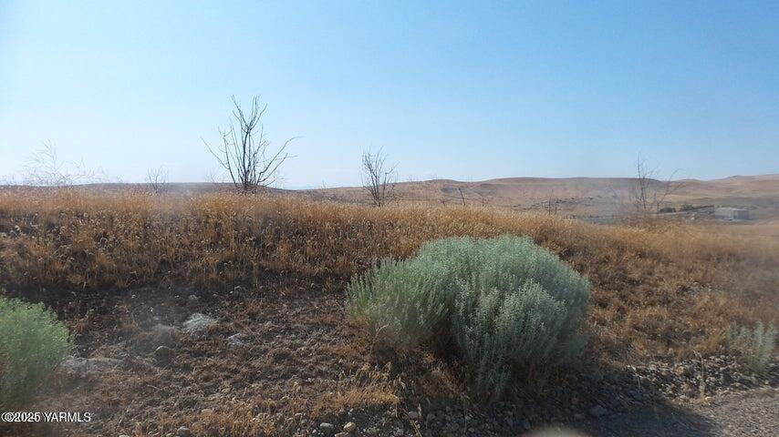 Nna Nna Cheyne Rd/falcon Ridge Road Zillah, WA 98953 - Photo 20 of 38 a view of a dry field with trees in background