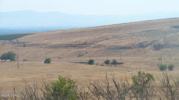 a view of a mountain range with trees in the background