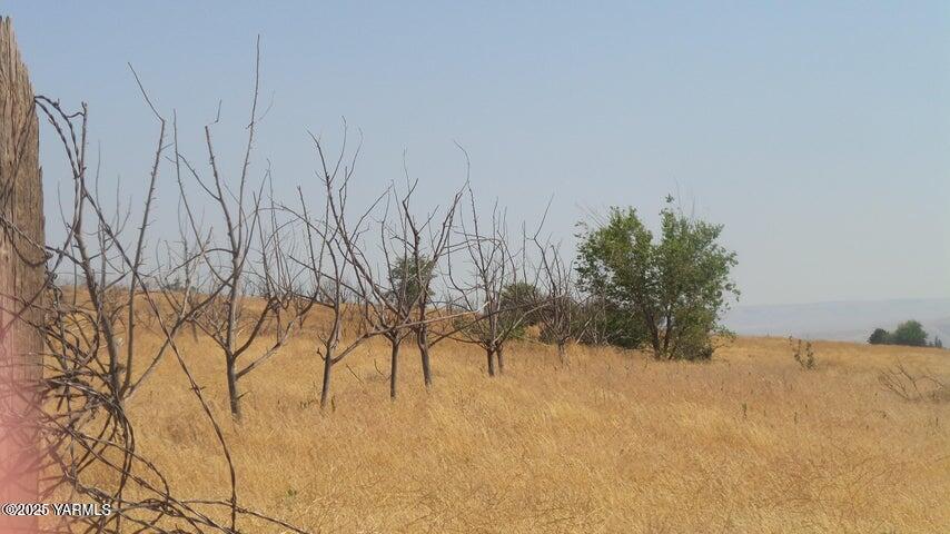 Nna Nna Cheyne Rd/falcon Ridge Road Zillah, WA 98953 - Photo 35 of 38 a view of a yard