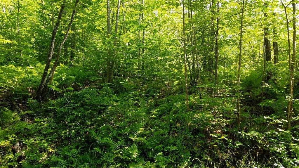 0 East Branch Road Roxbury, ME 04275 - Photo 2 of 4 Photo