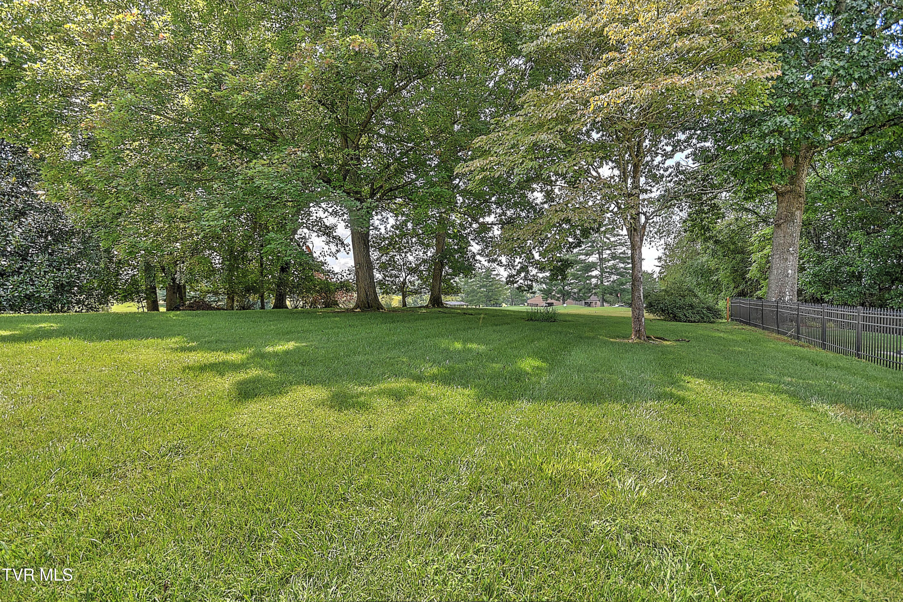 208 Park Ridge Court Kingsport, TN 37664 - Photo 90 of 108 208 Park Ridge ES-85