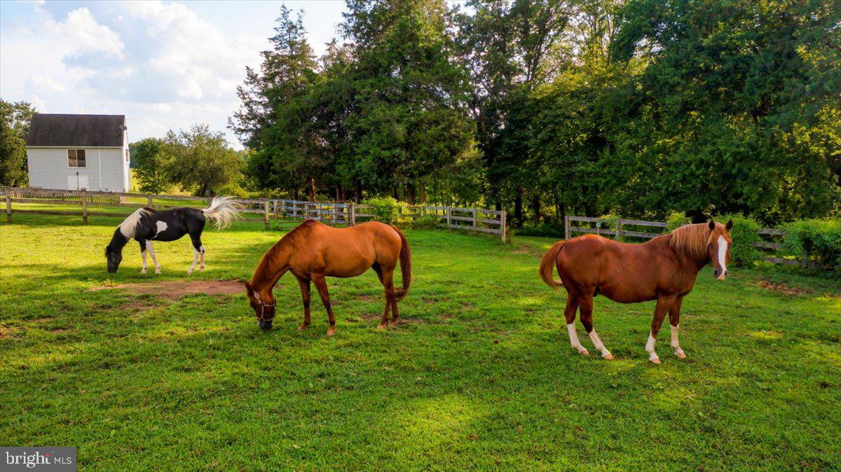 3360 Kump Station Road Taneytown, MD 21787 - Photo 73 of 93 Gallery Image 73