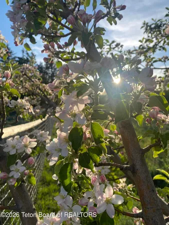 $899,000 | 60 Buckrail Lane, Alpine, WY 83128