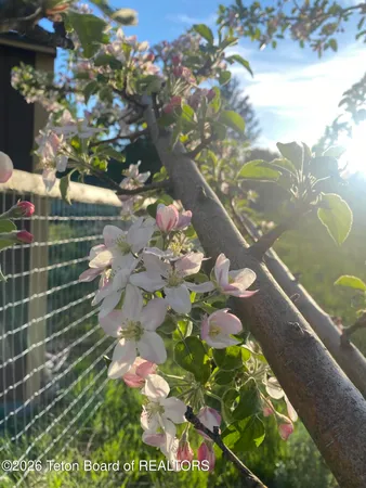 $899,000 | 60 Buckrail Lane, Alpine, WY 83128