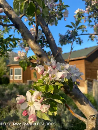 $899,000 | 60 Buckrail Lane, Alpine, WY 83128