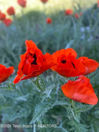 $899,000 | 60 Buckrail Lane, Alpine, WY 83128