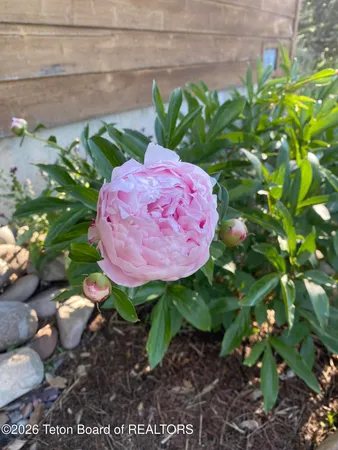 $899,000 | 60 Buckrail Lane, Alpine, WY 83128