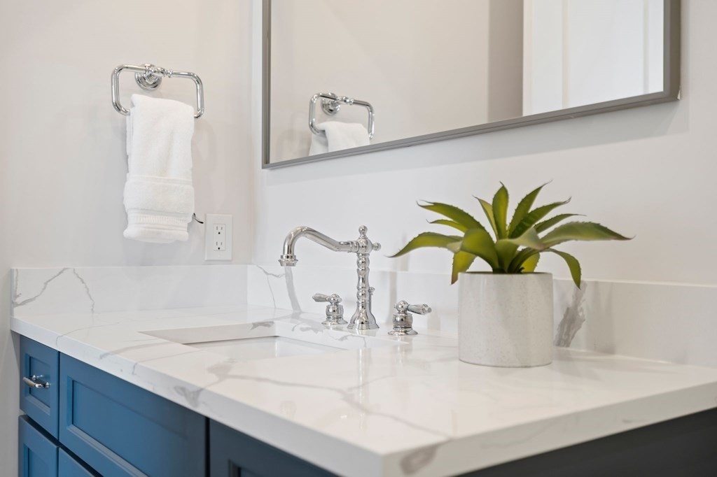 9 Glover Court, Unit 6 Boston, MA 02127 - Photo 22 of 34 a close view of sink and a potted plant on the counter