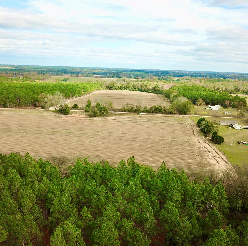 3.42-acres Summer Road Slocomb, AL 36375 - Photo 11 of 24
