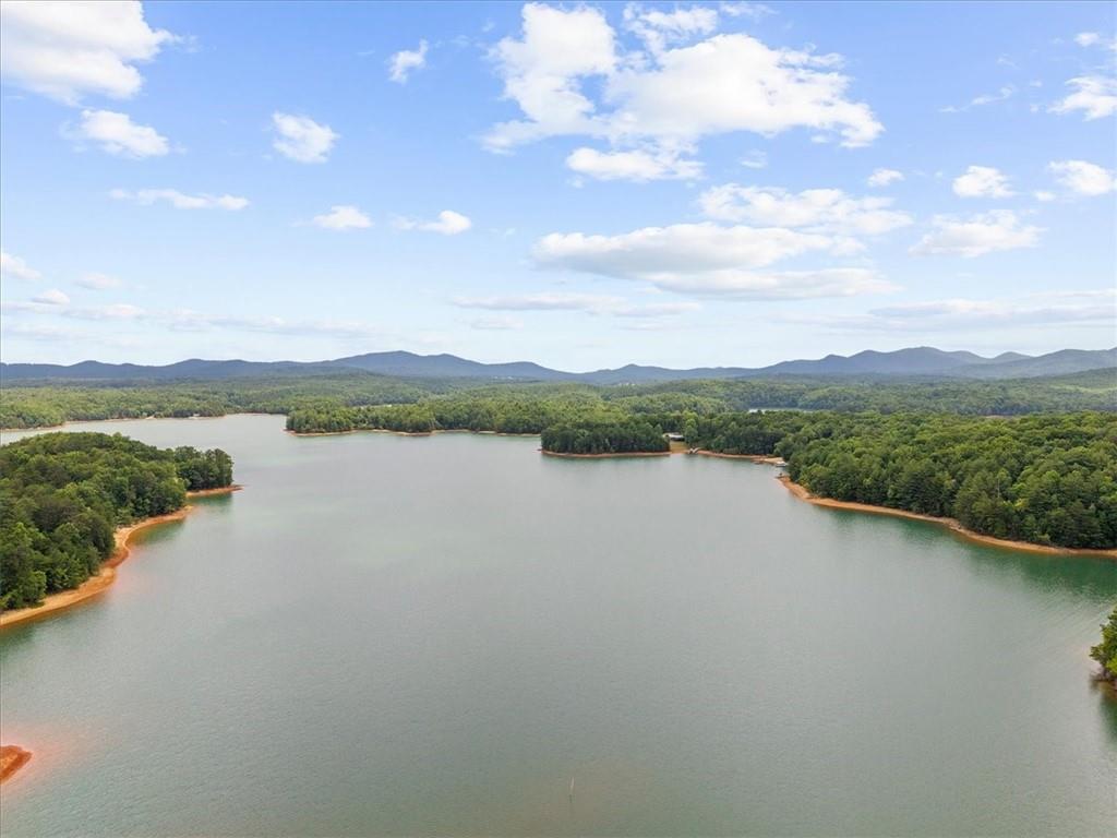 276 Ridge Pointe Way Blairsville, GA 30512 - Photo 13 of 15 a view of a lake with houses in the back