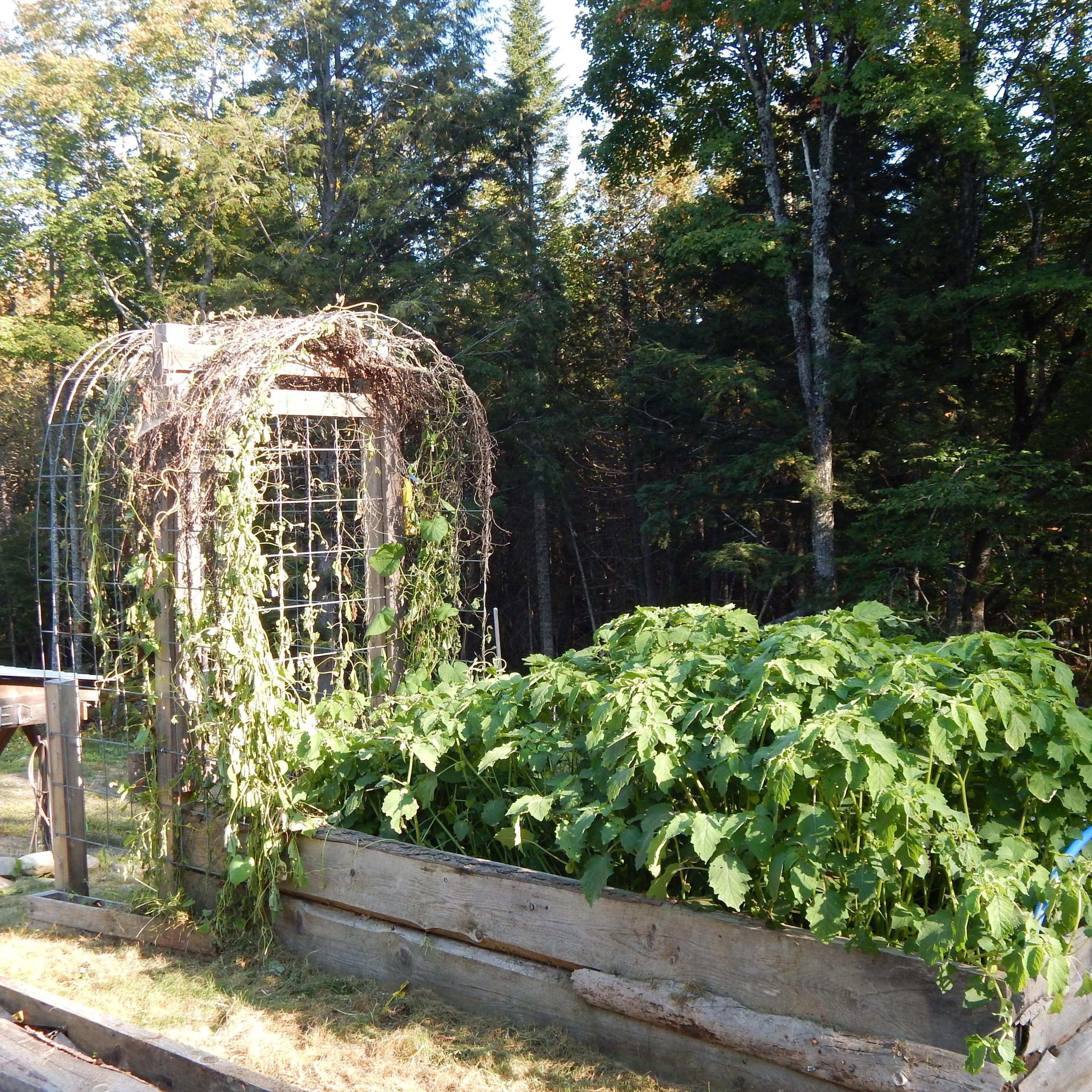 63 Gray Hill Road Dover-Foxcroft, ME 04426 - Photo 66 of 75 DSCN9695