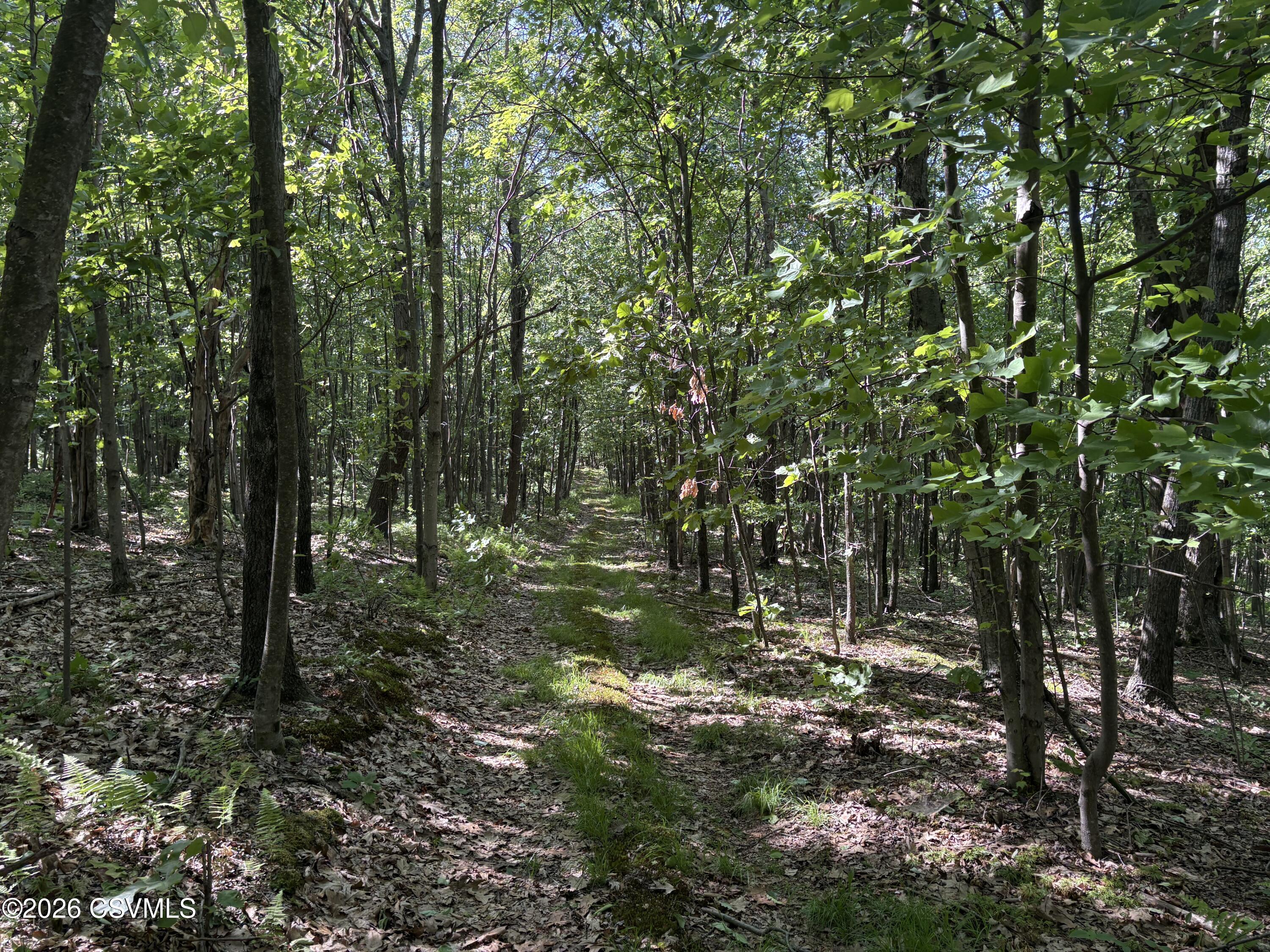 380 Too Steep Road Watsontown, PA 17777 - Photo 20 of 20