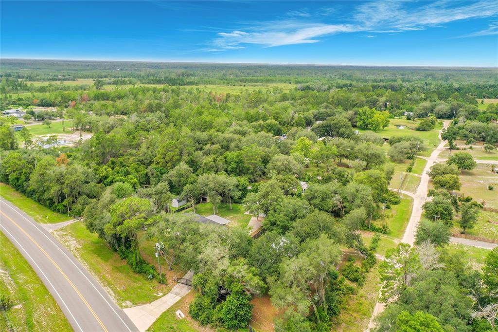 31032 Rory Lane Eustis, FL 32736 - Photo 44 of 46