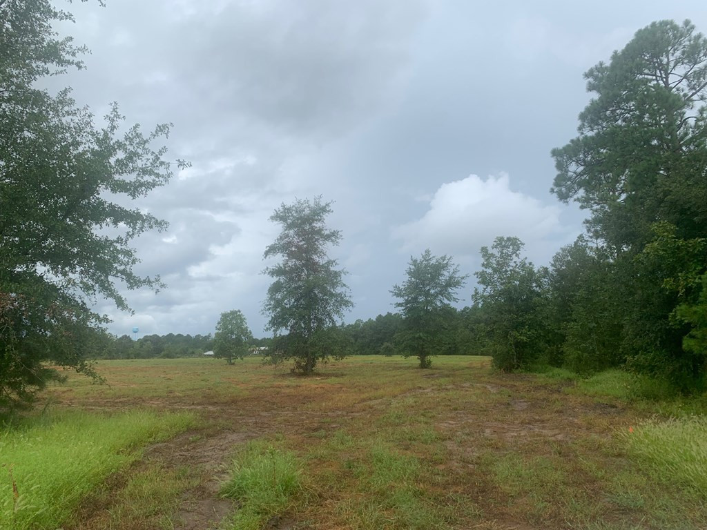 Tbd Tolt Trail Aiken, SC 29801 - Photo 2 of 14