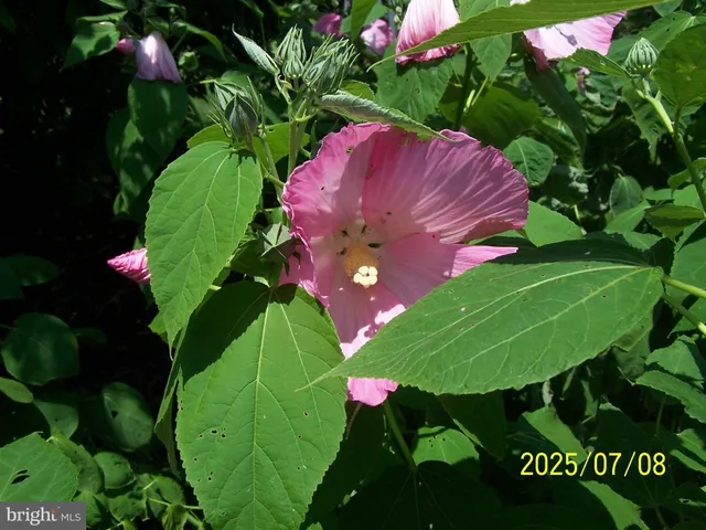 a front view of a house with a yard and fountain in middle