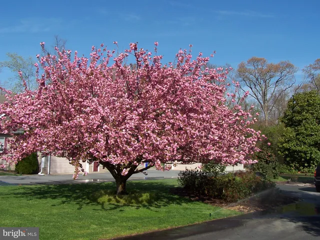 a house with green field in front of it