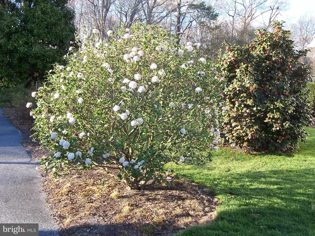 a view of tennis court with trees in the background